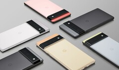 The Pixel 6. (Source: Google)