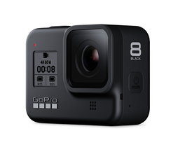 gopro max successor