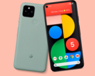 The Pixel 5 blends the design of the Pixel 4 with the Pixel 4a. (Image source: Evan Blass)