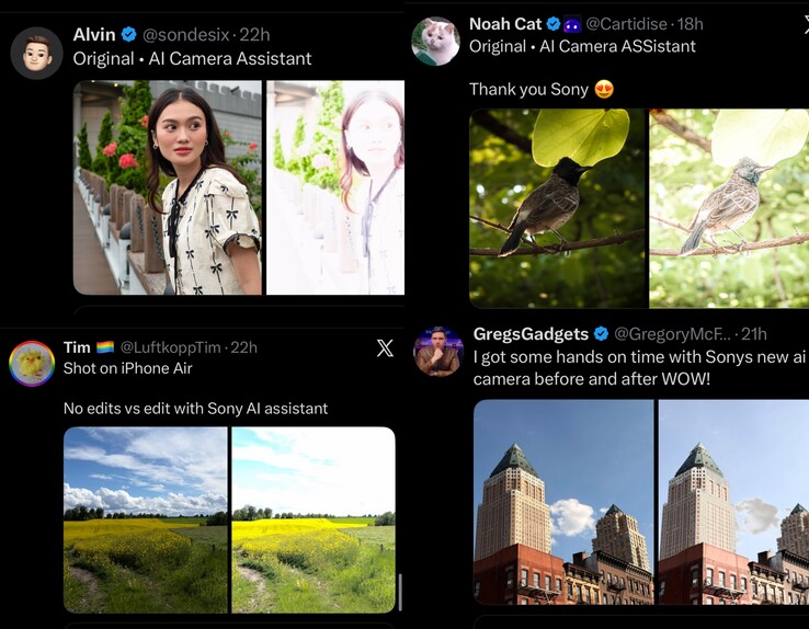 The Xperia 1 VIII's AI Camera Assistant has turned into a meme.
