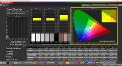 CalMAN ColorChecker (profile: sRGB, target color space: sRGB)