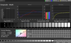 Greyscale (colour mode: Professional, target colour space: sRGB)