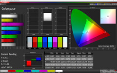 CalMAN - color space (bright, standard, sRGB)