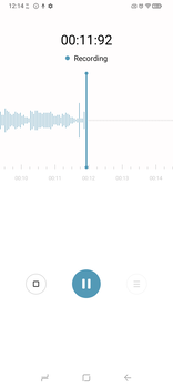 The stock audio recorder. (Image source: Sergey Tarasov - Notebookcheck)