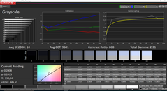 Grayscale (Cool color profile)