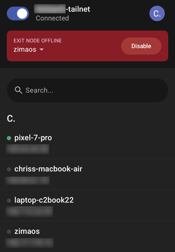 Tailscale on a smartphone