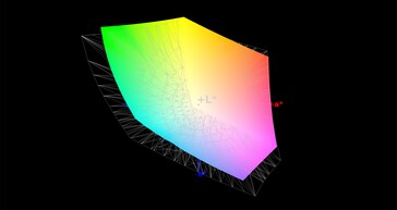 Color Space Coverage (AdobeRGB) - 78%