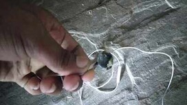 Purported earphones involved in mortal accident. (Image source: Times of India)