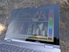 Outdoors under shade