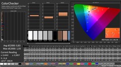 CalMAN: ColorChecker (after calibration)