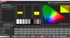 CalMAN ColorChecker calibrated