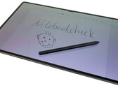 The Galaxy Tab S8 Ultra. (Source: Notebookcheck)