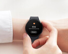 Samsung has teased another new feature headed to One UI 5 Watch. (Image source: Samsung)
