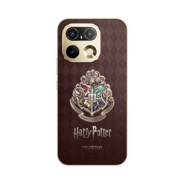 The four Hogwarts house crests reveal their house colors under sunlight