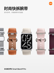 (Image source: Xiaomi)
