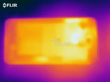 Heat map - back