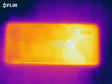 Heat map back