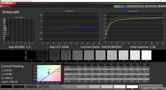 CalMAN Grayscale calibrated (target color space P3)