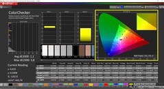 CalMAN ColorChecker (profile: sRGB, target color space: sRGB)