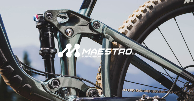 The Maestro rear suspension with Flip chip
