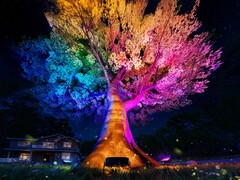 Govee’s Outdoor Tree Lights (pictured) will launch in September 2025. (Image source: Govee)