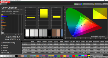 CalMAN: ColorChecker – calibrated