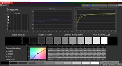 CalMAN Grayscale calibrated (target color space P3)