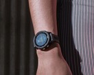 The Garmin Forerunner 255 has been updated with beta version 20.21. (Image source: Garmin)