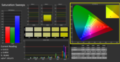 CalMAN - color saturation (calibrated)