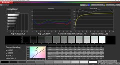 CalMAN Grayscale (target color space P3)