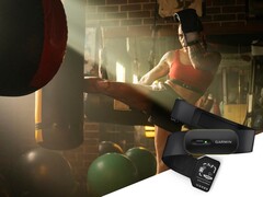 The HRM 600 is a new chest strap that can also be used on its own. (Image source: Garmin)