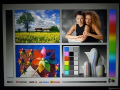 Wide IPS viewing angles