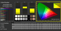 CalMAN - Color Checker