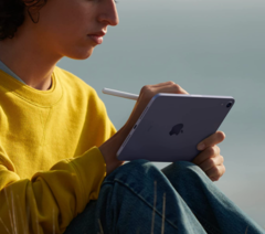 Some iPad mini 6 owners are now complaining about display distortion and discoloration. (Image: Apple)