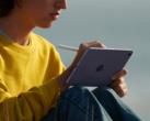 Some iPad mini 6 owners are now complaining about display distortion and discoloration. (Image: Apple)