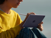 Some iPad mini 6 owners are now complaining about display distortion and discoloration. (Image: Apple)