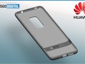 This could be the Mate 30 Pro's protective case. (Source: LetsGoDigital)