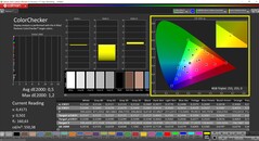 CalMAN ColorChecker (profile: sRGB, target color space: sRGB)