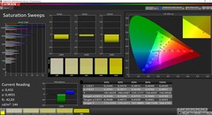 CalMAN Saturation Sweeps calibrated