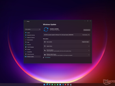 The Windows 11 Insider Preview Programme is yet to reach the Release Preview Channel. (Image source: Microsoft) 