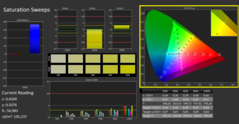 CalMAN saturation calibrated (reference color space sRGB)