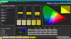 CalMAN measurements T470s Full HD Touch (calibrated)