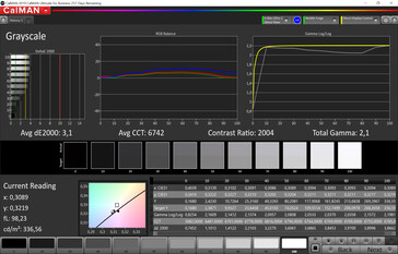 Grayscale (preset: Lively, target color space: P3)