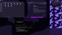 Rhino Linux 2026.1 sports Lomiri support on desktop and mobile