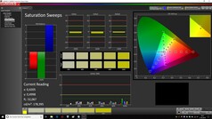 CalMAN: Saturation Sweeps (calibrated)