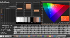 CalMAN: ColorChecker (calibrated)