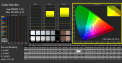 CalMAN - Color Checker (P3)