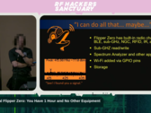 Grey Fox presenting at DEFCON 33 (Image Source: RF Hackers Sanctuary)