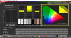 CalMAN ColorChecker (profile: calibrated, target color space: P3)