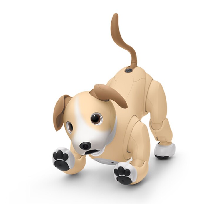 The Aibo Kinako Edition is a limited-edition model for 2024, available only until supplies run out. (Image source: Sony)